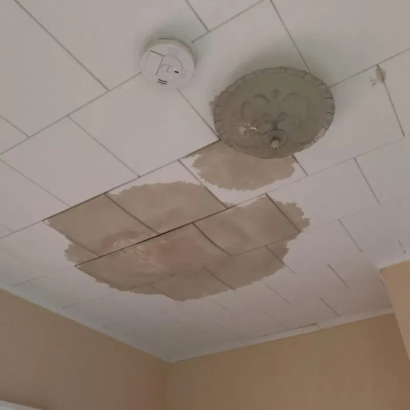 Ceiling Water Damage Repair in Mansfield, OH