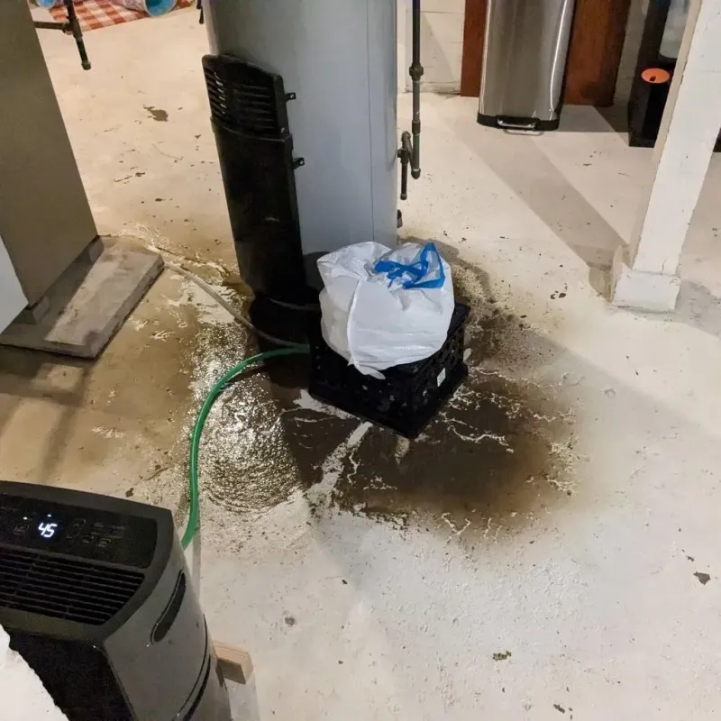 Sewage Backup Cleanup Service in Mansfield, OH